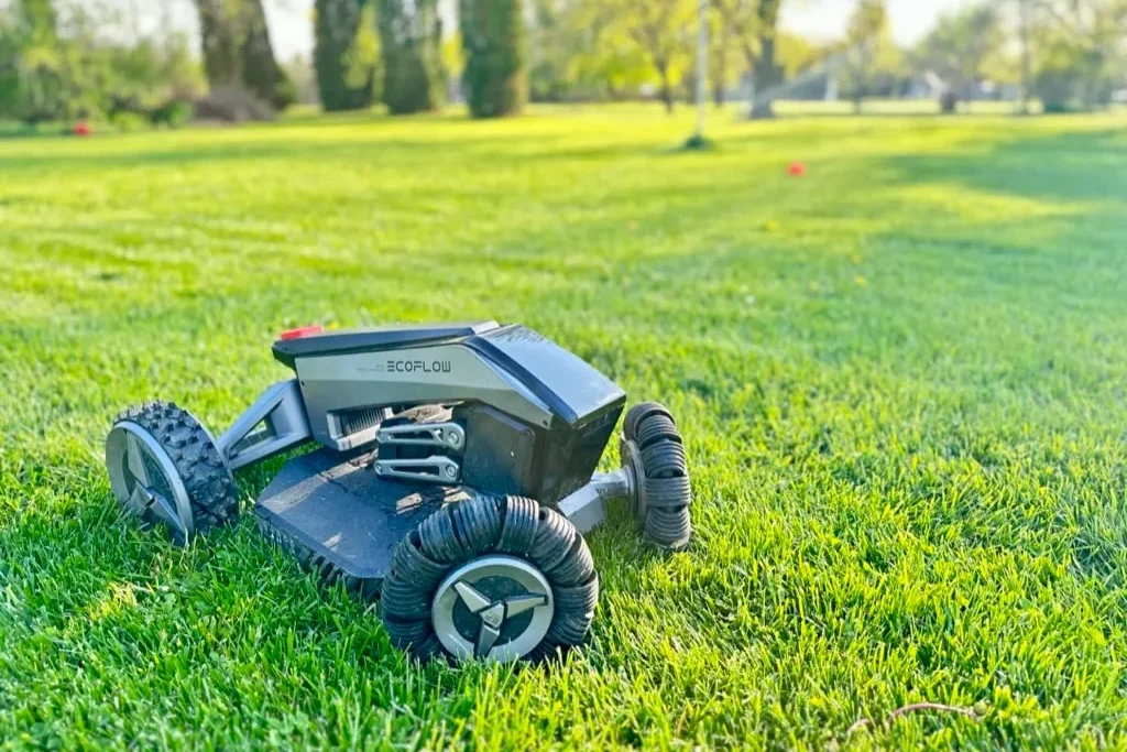 Lawn mower - smart gadgen and backyard care in 2025