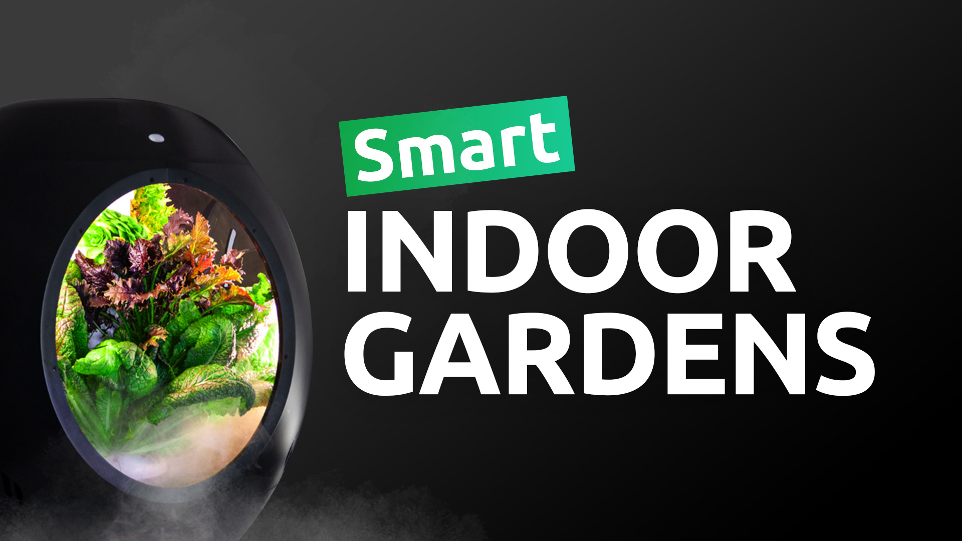 6 Best Smart Indoor Gardens You Can Get