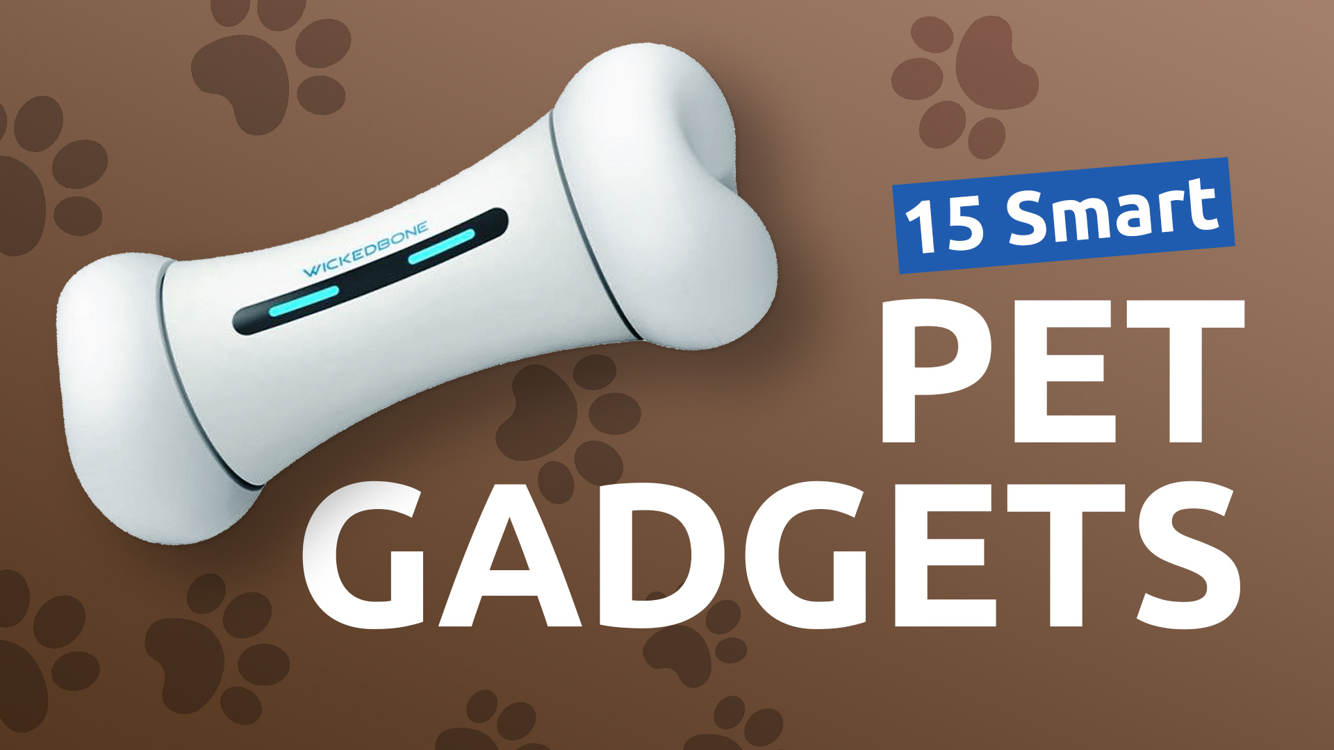 15 Smart Pet Gadgets For Your Cats & Dogs