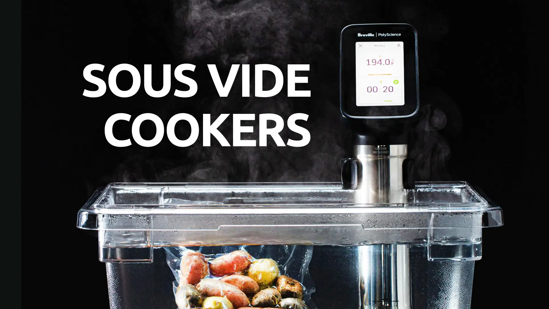 Top Sous Vide Cookers For Your Kitchen